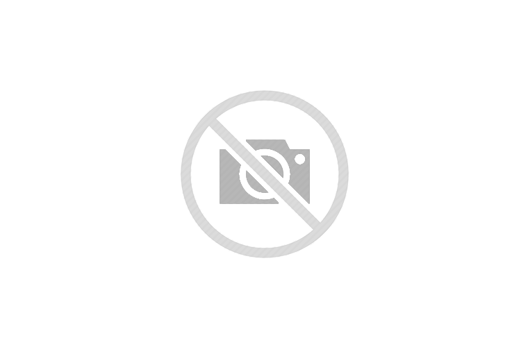 2026 COACHMEN NORTHERN SPIRIT ULTRA LITE 2975RL